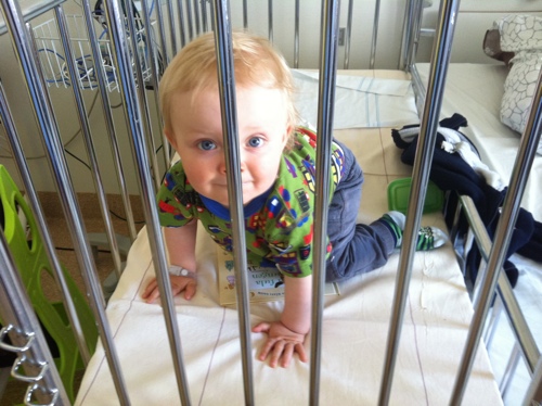 20120607-100430.jpg