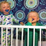 Morgonmys har vi varje dag!